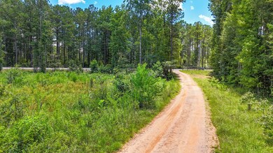 Cr 334, Salem, AL 36874 - photo 5