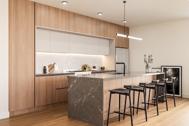 2234 W Grand Ave unit 204, Chicago, IL 60612 - photo 3