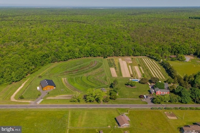 550 Hands Mill Rd, Woodbine, NJ 08270 - photo 4