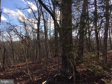 0 Gafia Lodge Rd unit 1000343272, Middletown, VA 22645 - photo 6