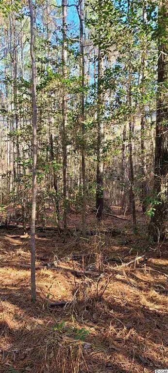 0 Pitch Landing Rd unit 2024472, Conway, SC 29527 - photo 3