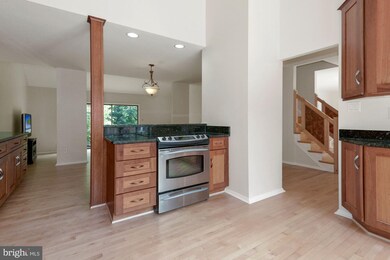 1417 Green Run Ln, Reston, VA 20190 - photo 6