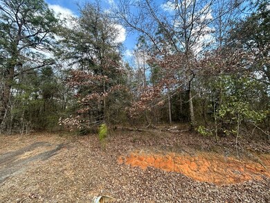 000 Rabbit Run Rd, Baconton, GA 31716 - photo 7