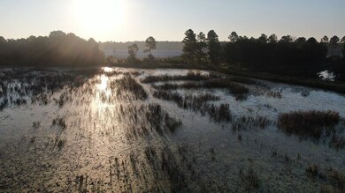 3665 Turman Rd, Edison, GA 39846 - photo 5