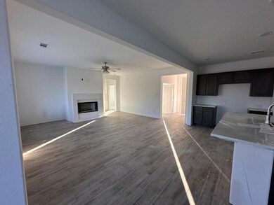 127 Brush Creek Dr, Boyd, TX 76023 - photo 6