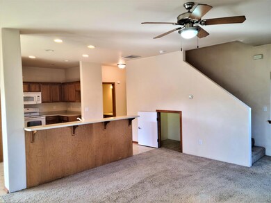 Under Stairs Storage