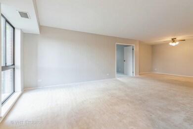 600 Naples Ct unit 101, Glenview, IL 60025 - photo 5