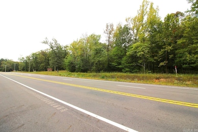 6113 Highway 270 E, Mount Ida, AR 71957 - photo 5