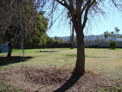 DSC02499