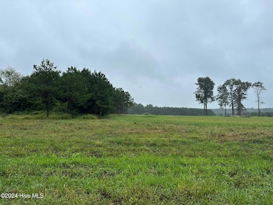 7026 NC 55 Hwy Lot pic