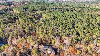 1774 Maynards Mill Rd, Forsyth, GA 31029 - photo 5