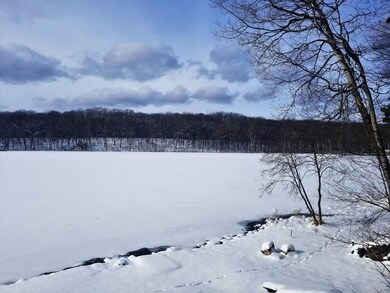 10103 N Lake Shore Dr, Merrill Township, MI 49309 - photo 2