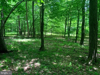 0 Wilderness Dr unit WVGT103492, Cabins, WV 26855 - photo 6