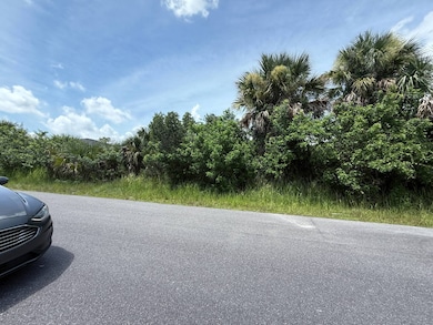 2950 Pomello Ave SW, Palm Bay, FL 32908 - photo 4