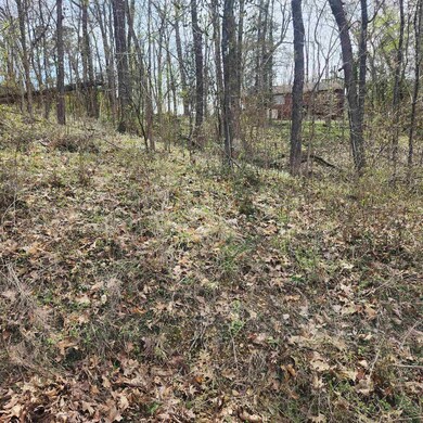 L-6, B-4 Tomahawk Dr, Cherokee Village, AR 72529 - photo 3