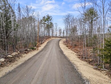 Lot 4 Pine Hill Rd, Palermo, ME 04354 - photo 7
