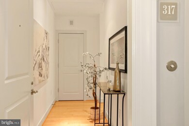 The Columbia Residences unit 317, Washington, DC 20037 - photo 4