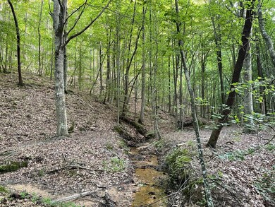 3829 Highway 25, Iuka, MS 38852 - photo 5