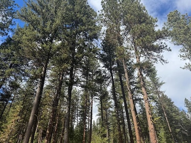 TBD Sorrel Dr unit 21, New Meadows, ID 83654 - photo 3