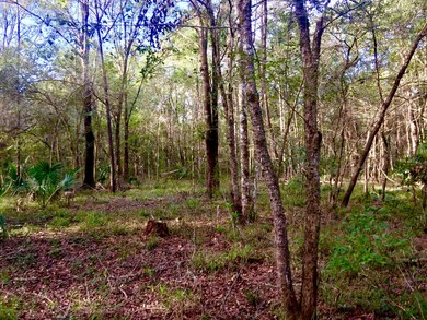 0 Wildlife Way unit 854327, Callahan, FL 32011 - photo 4