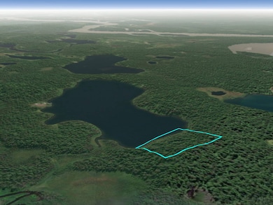 000 Asls 72-064 9 91 Acres, Skwentna, AK 99667 - photo 7