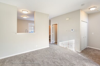 1915 Freedom Ct unit 393, Zion, IL 60099 - photo 6