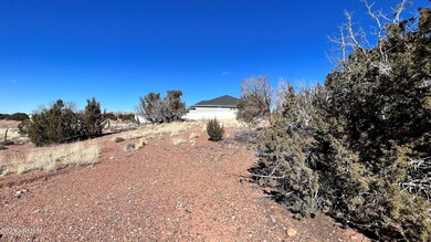 TBD S Pioneer Trail -- unit 160, Snowflake, AZ 85937 - photo 7