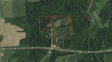 5630 Norris Rd, Huron, NY 14516 - photo 5