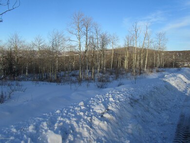 Vacant land for sale in CO borders Natio