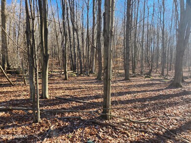 0 Fitzgerald Rd unit LOT 1 WB-96231, Dushore, PA 18614 - photo 5