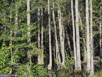 0 Alton Lawson Rd, Adrian, GA 31002 - photo 4