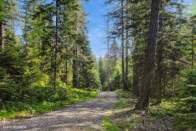 driveway to secluded Montana hideaway