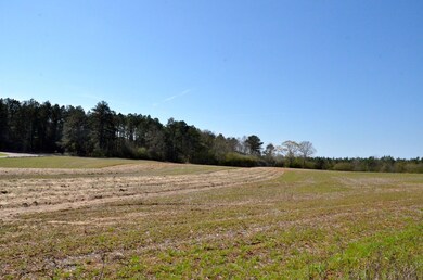 Hickory Grove