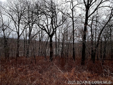 29991 & 29992 Guccione Place, Union Township, MO 65326 - photo 6