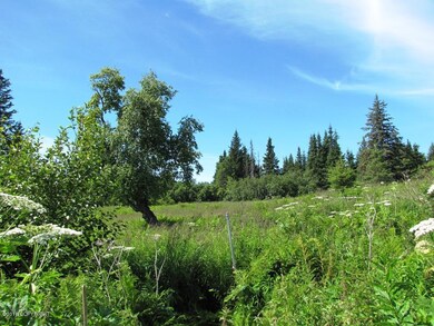 Privacy and meadows and trees