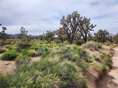 Lot View looking down Pear at towards the north. P