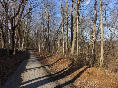 2 S Scruggs, Frankfort, KY 40601 - photo 2