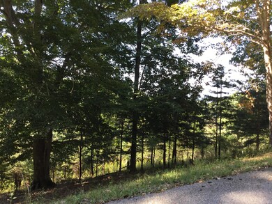 689C29E5-495C-49B9-990C-4BC3EEE5F7A7