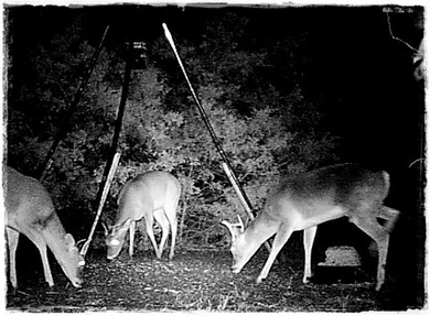 5600 N Fm 51, Weatherford, TX 76085 - photo 5