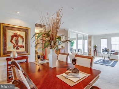 9500 Side Brook Rd unit 510, Owings Mills, MD 21117 - photo 3