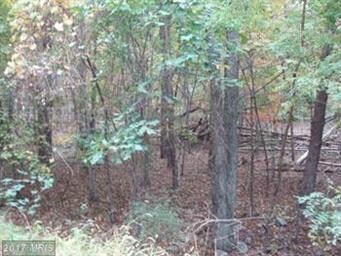 0 0 Oakland Hills, Berkeley Springs, WV 25411 - photo 6