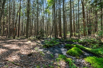 Lot 2B Allen Point Rd, Harpswell, ME 04079 - photo 7