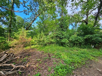 20 ac JJ rd pic 3