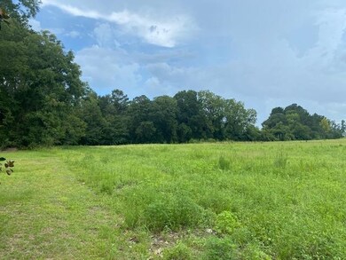 Lot 2A Antioch Rd, Conway, SC 29527 - photo 3