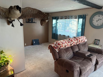 23 SE 50 Rd, Great Bend, KS 67530 - photo 4