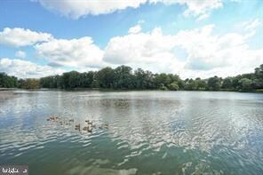 18707 Winding Creek Place, Germantown, MD 20874 - photo 4