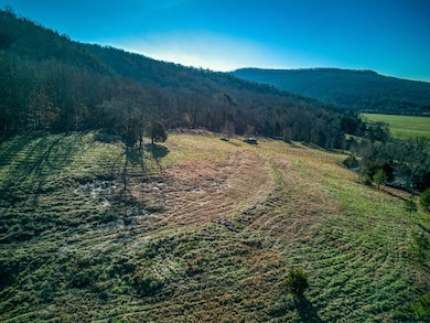12278 Arkansas 27, Marshall, AR 72650 - photo 6