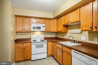 1107 Middleton Place, Norristown, PA 19403 - photo 5