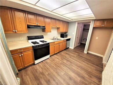 26681 Sprague Rd, Olmsted Falls, OH 44138 - photo 4