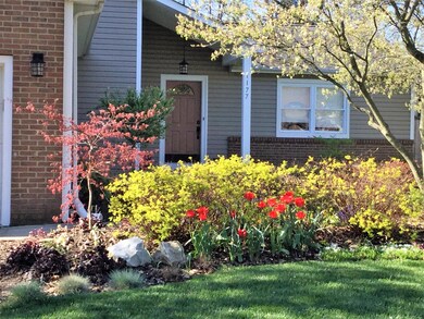 Front landscaping